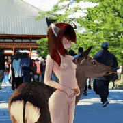 奈良きりたん