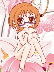 アコ