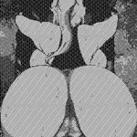 SPERMAN