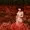 埼玉きりたん