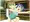 ぷろれすたいかい