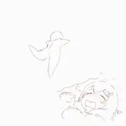 ファンシー受精