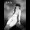 えれな -twelve winter-