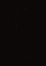線画
