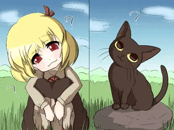 猫とルーミア