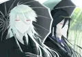 お兄ちゃんと散歩