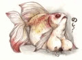 金魚の巨乳に潰される絵