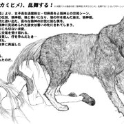 狼神姫(オオカミヒメ)、乱舞する！