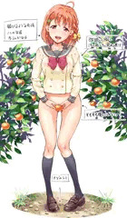 みかん