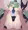 や``ま``か``ぜ``ち``ゃ``ん``!!!!!!