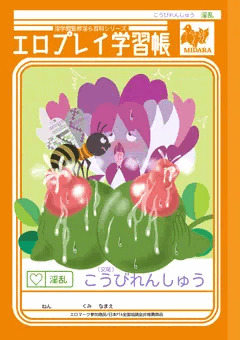 エロプレイ学習帳
