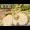 蛮王記　鰐酋長伝