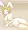 かこえ