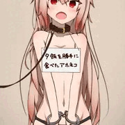 うちの子キルシュの色々まとめ