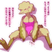 底辺の鳥女性
