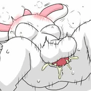 うさぎ
