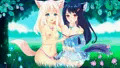 Sweet Story Neko