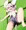 夏ノ暑サニモ負ケル・・・