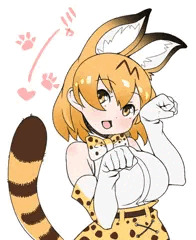 ネコノヒ