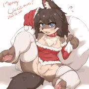 けもっこサンタがやって来た🐺