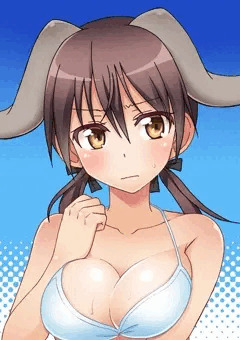 バルクホルンお姉ちゃんの水着