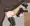 馬姦