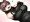 おっぱいが邪魔なタスマニアデビル