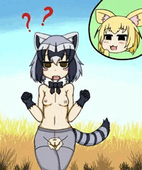 アライグマ