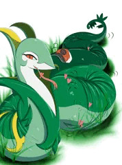 ジャローダ様