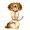 ミミちゃん助手2