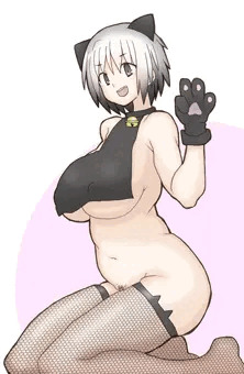 ねこす