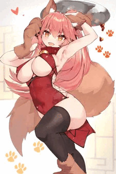 タマモキャットごはん！