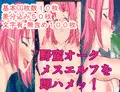 即ハメッ！野蛮オークメスエルフ即ハメ