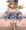 ガールちゃんとアクションデュエル