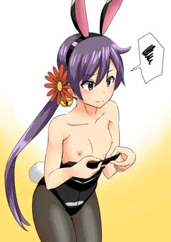 バニー曙