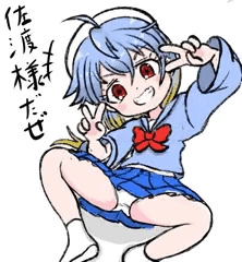 艦これ佐渡様