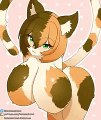 三毛