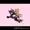 OCちゃんズふたレズセックス
