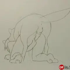 犬バック