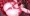 saki_20210304