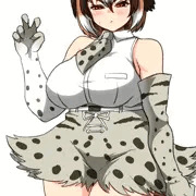 ブボキャット
