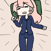ひなすいかん