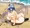 せーが