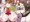 ﾔｯﾀｰ＼(^o^)／ギャン子ちゃんのＣＧ集できたよー！