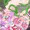逆さ吊り名探偵