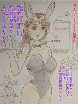 潜入バニーガール捜査官　完結編