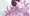 hana_20190806