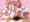 フェララクス