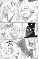 アサクラギツネ
