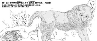 「夜明けの狼神姫」より 目覚めの交尾結合